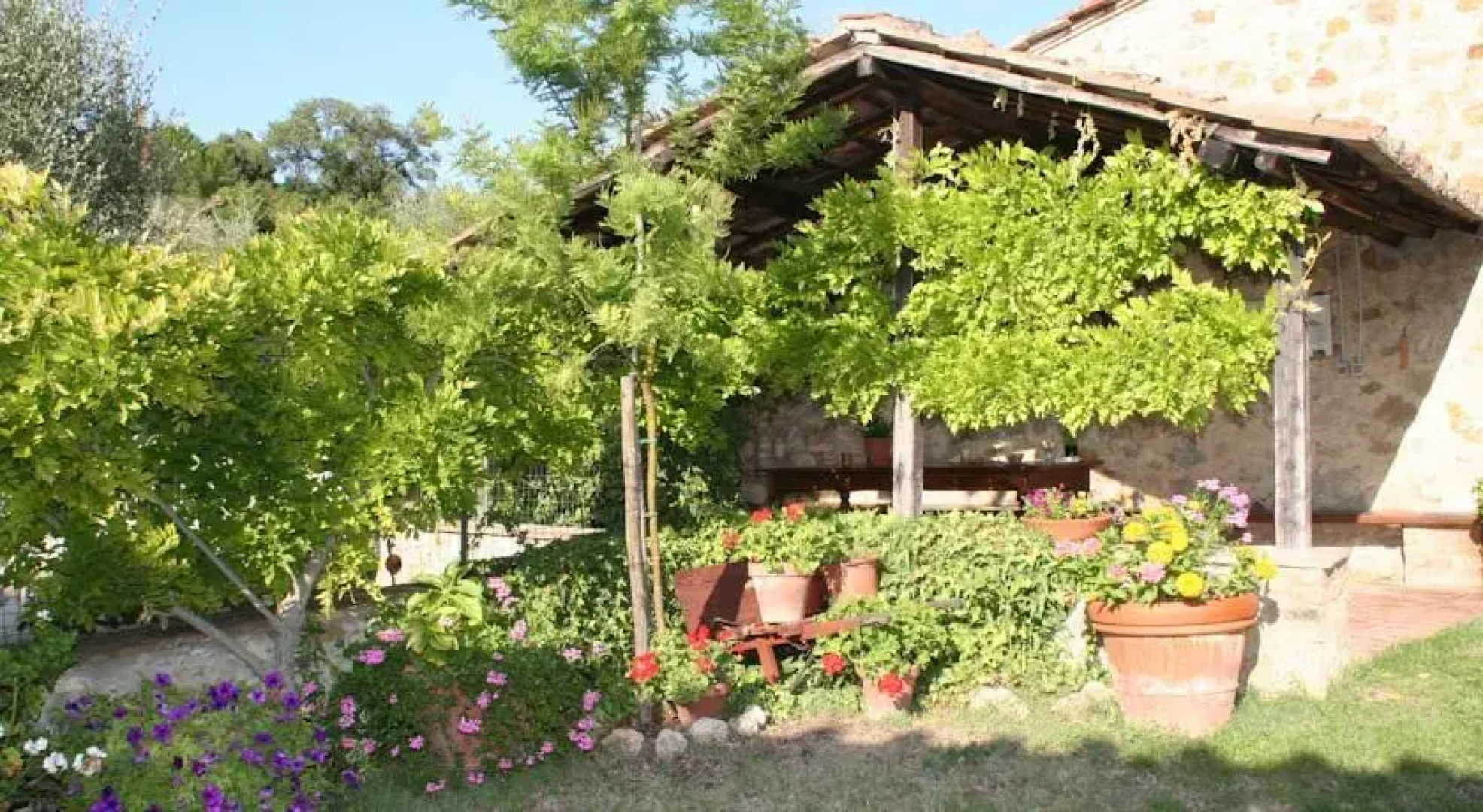 Agriturismo Olivello