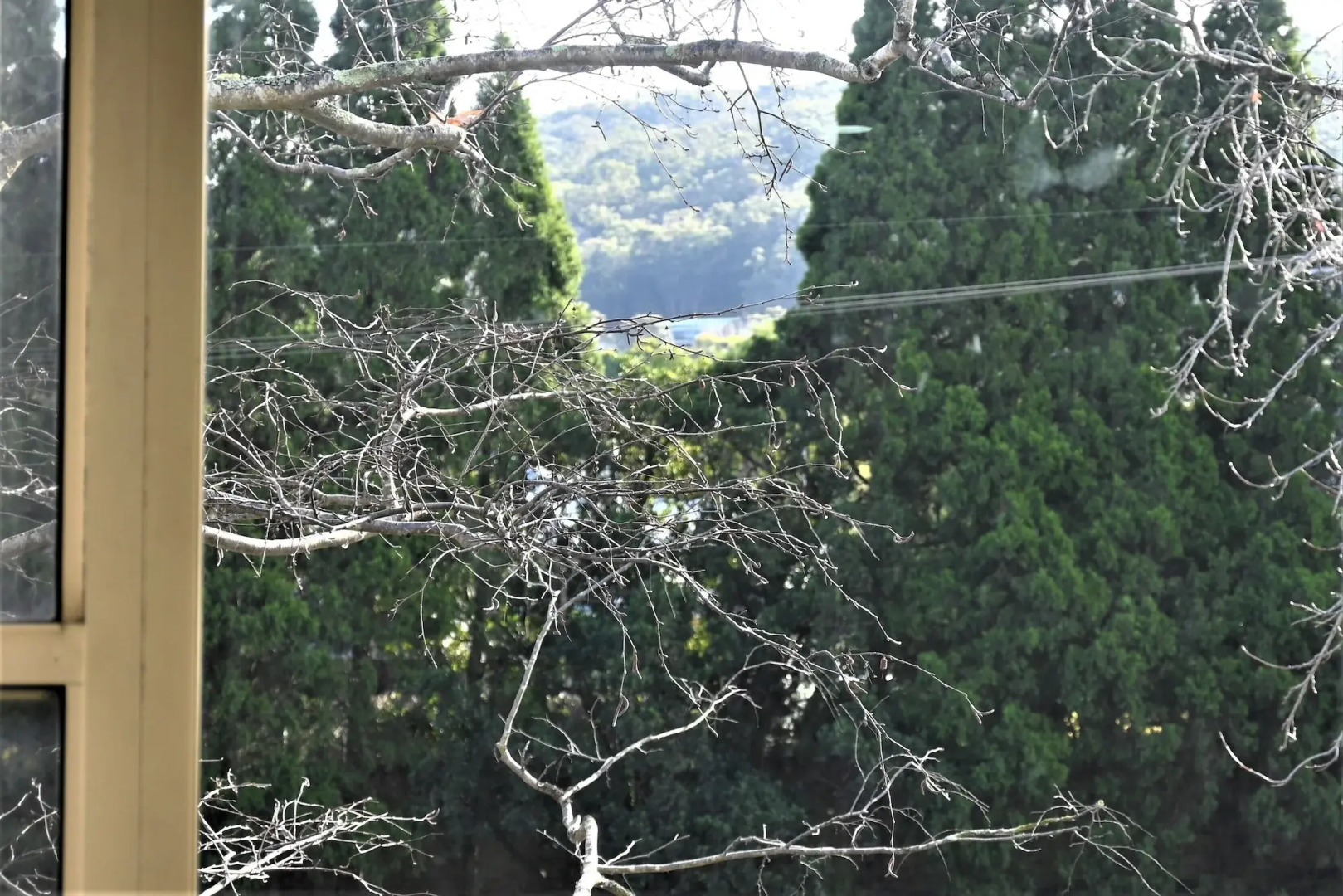 Grand Country Lodge Motel