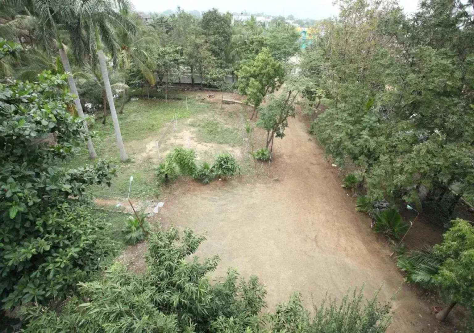 Ammayii Hotel Resorts