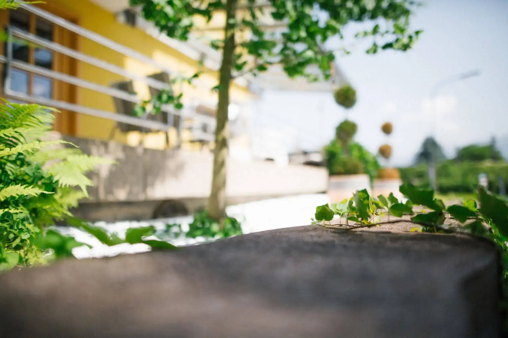 Ferienwohnungen - Appartements Pension Zollner