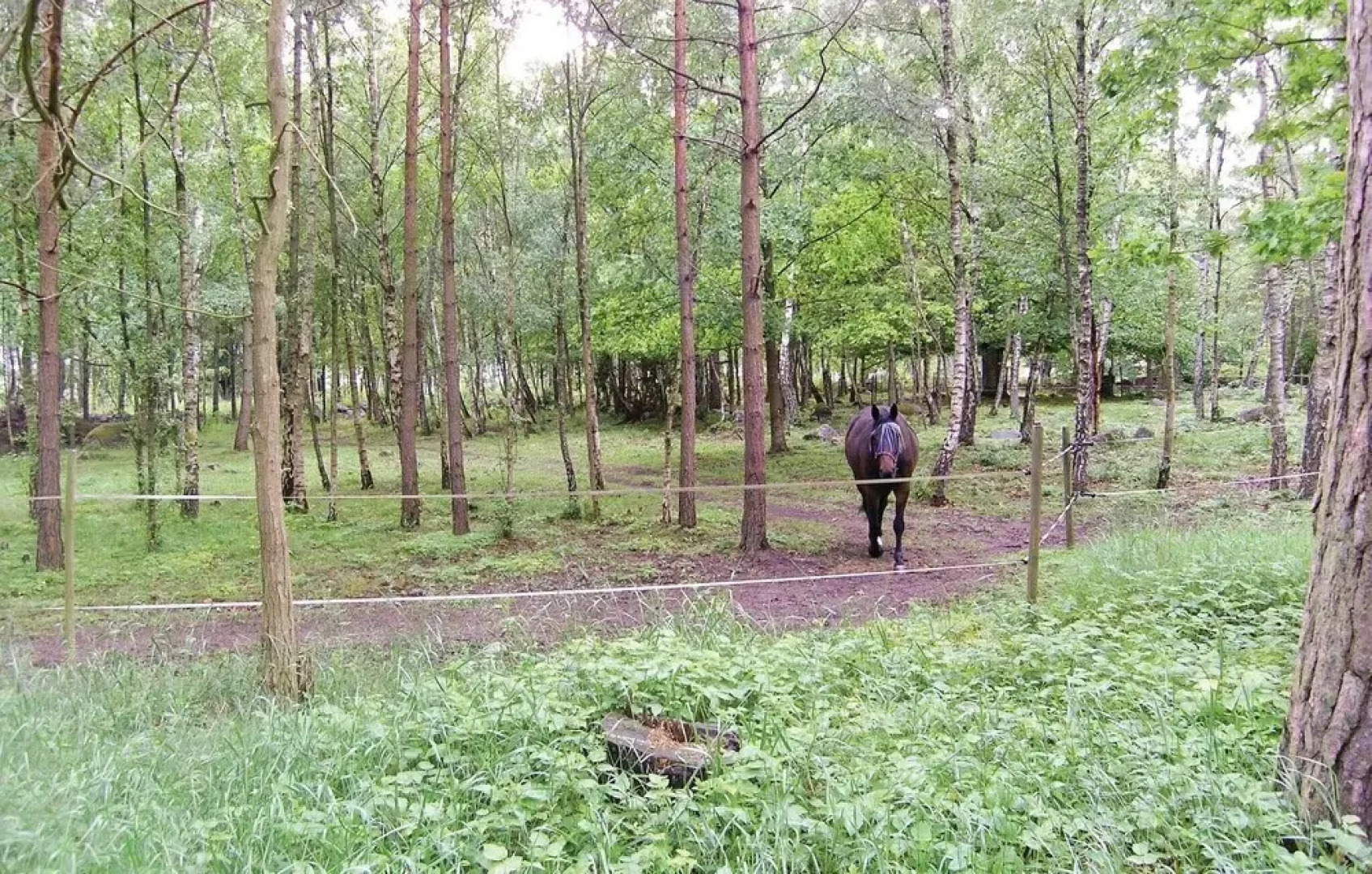 Stunning Home in Söderåkra With 1 Bedrooms