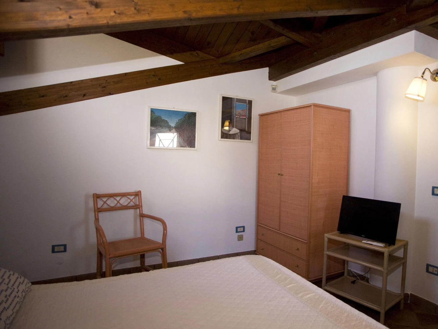 All'ombra del palmeto