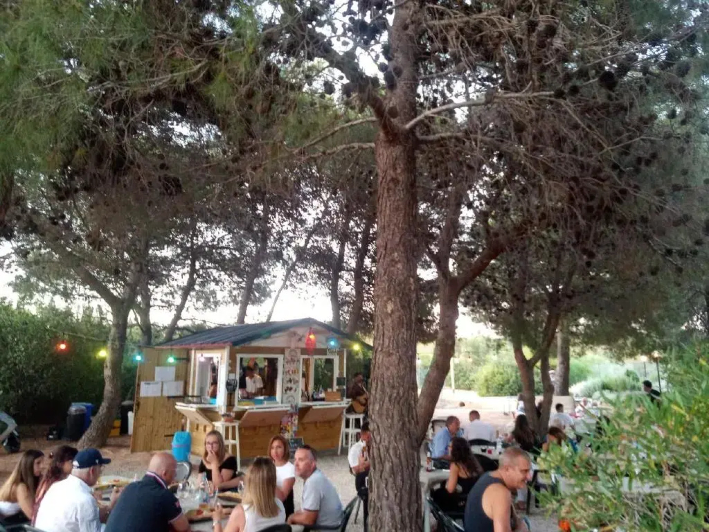 Jungle House - Pineta Is Morus