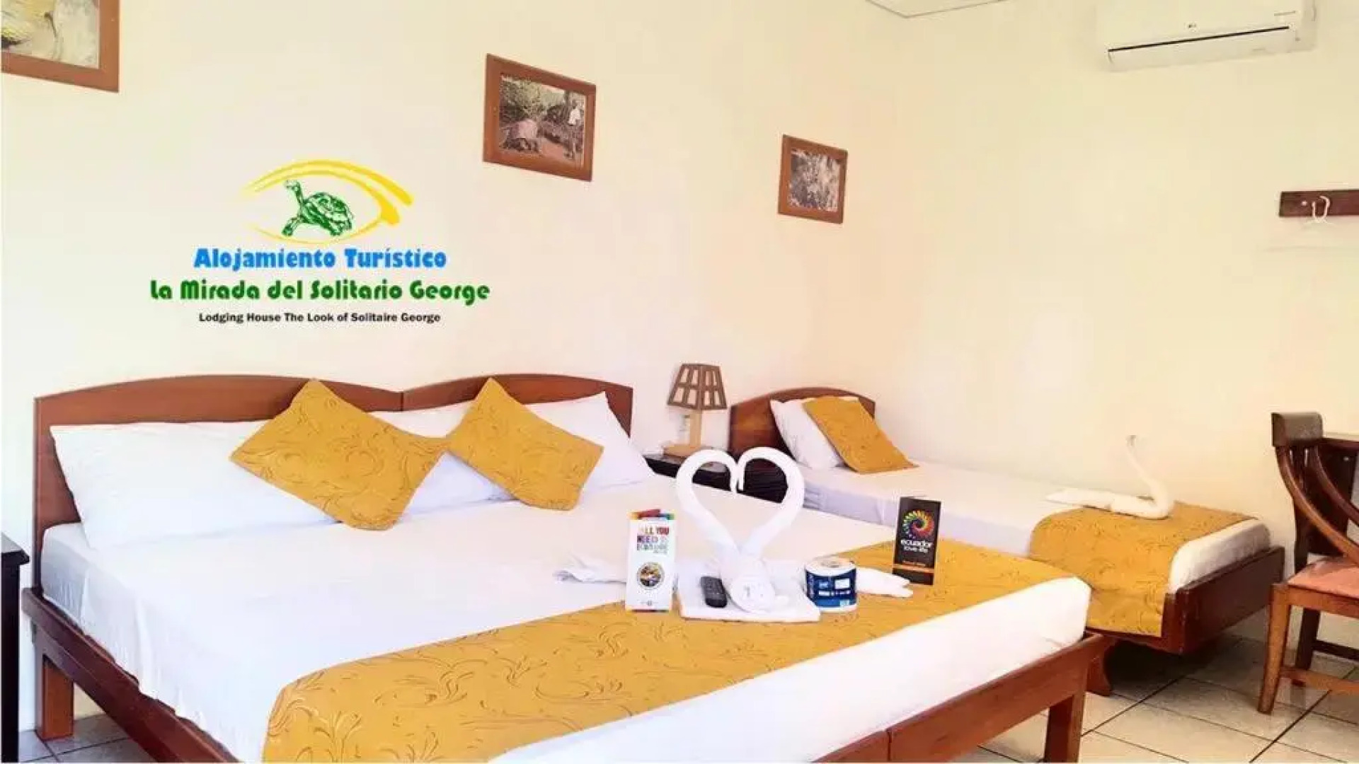 La Mirada De Solitario George