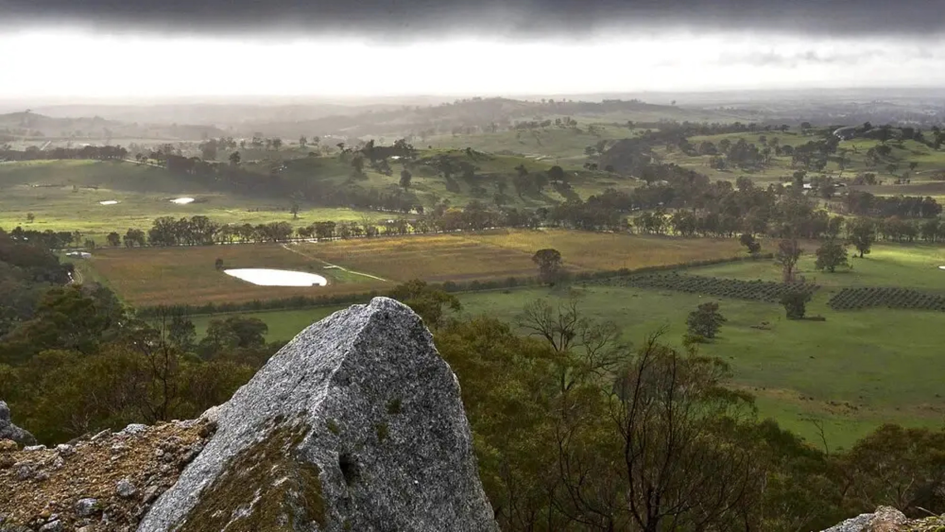 The Chocolate Lily B&B