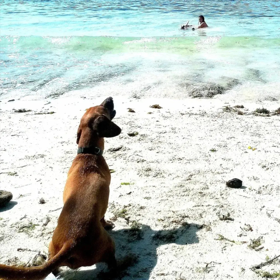 La Pernela Beachfront Resort