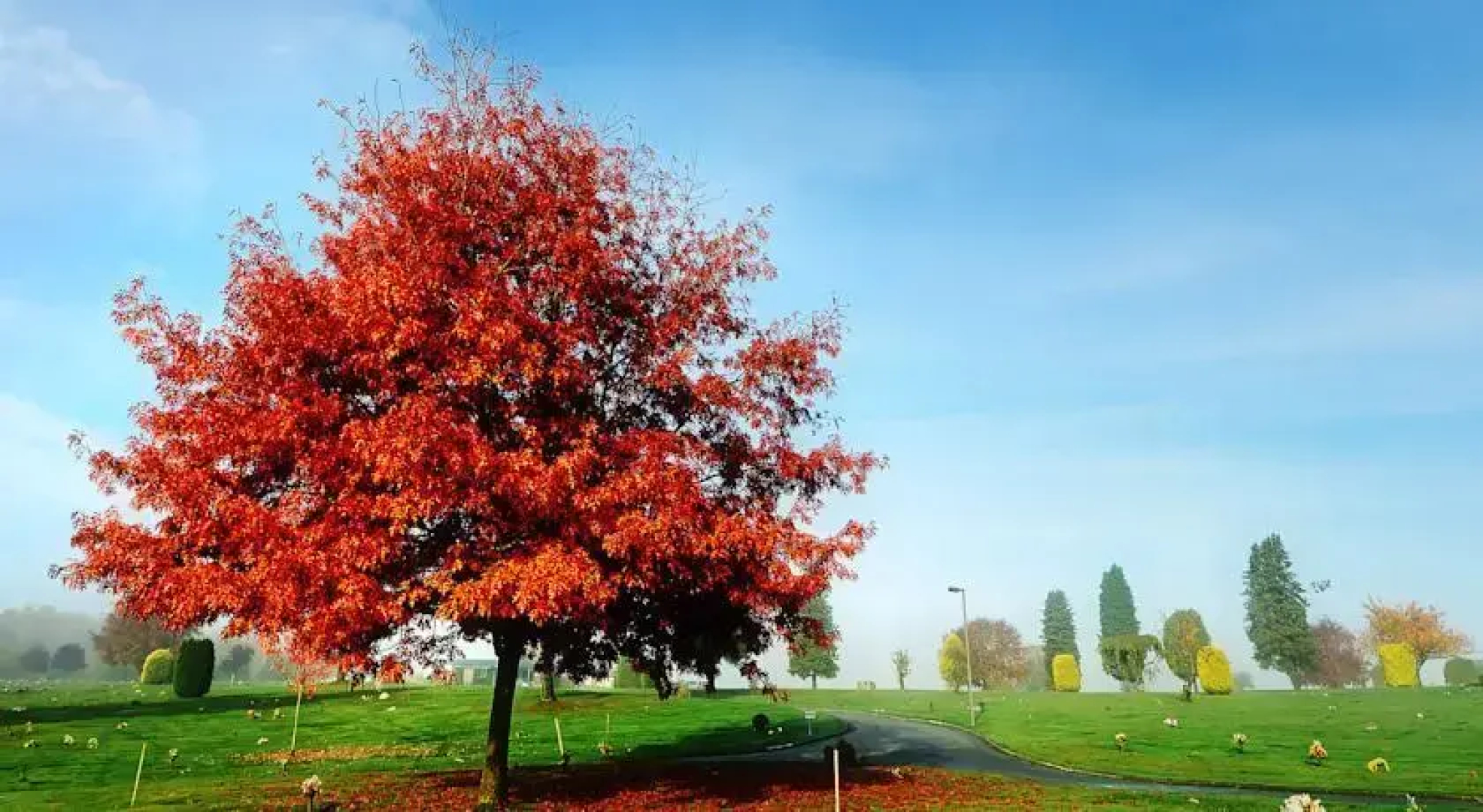 Parc du Bois Joli