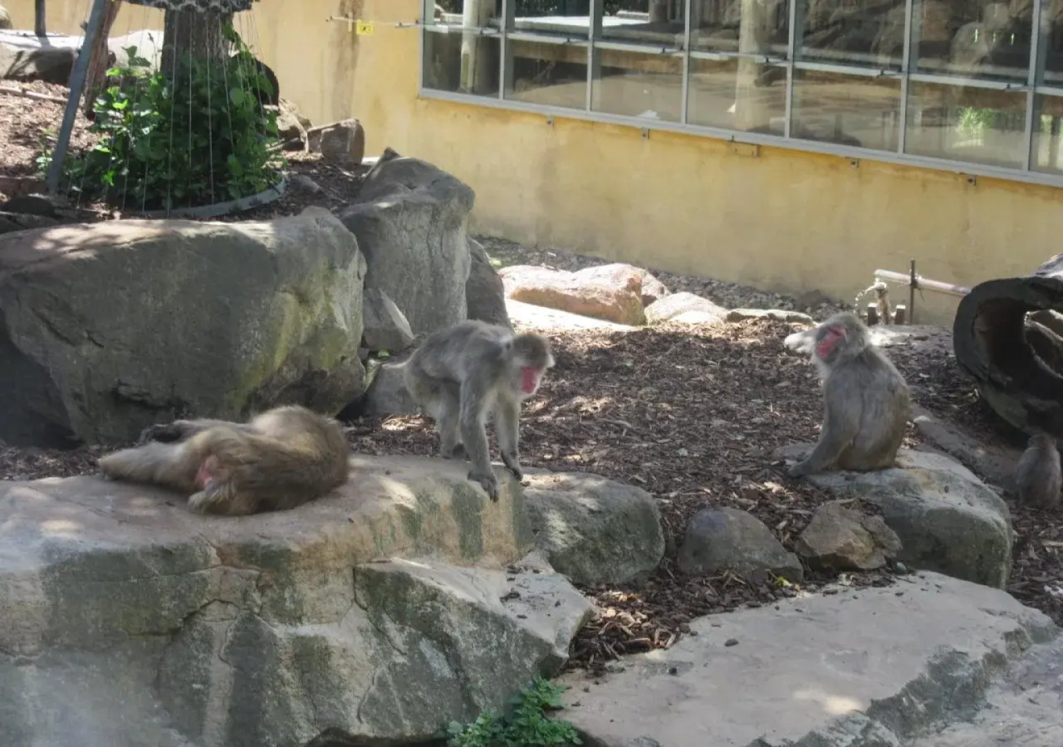 Abel Tasman Airport Motor Inn