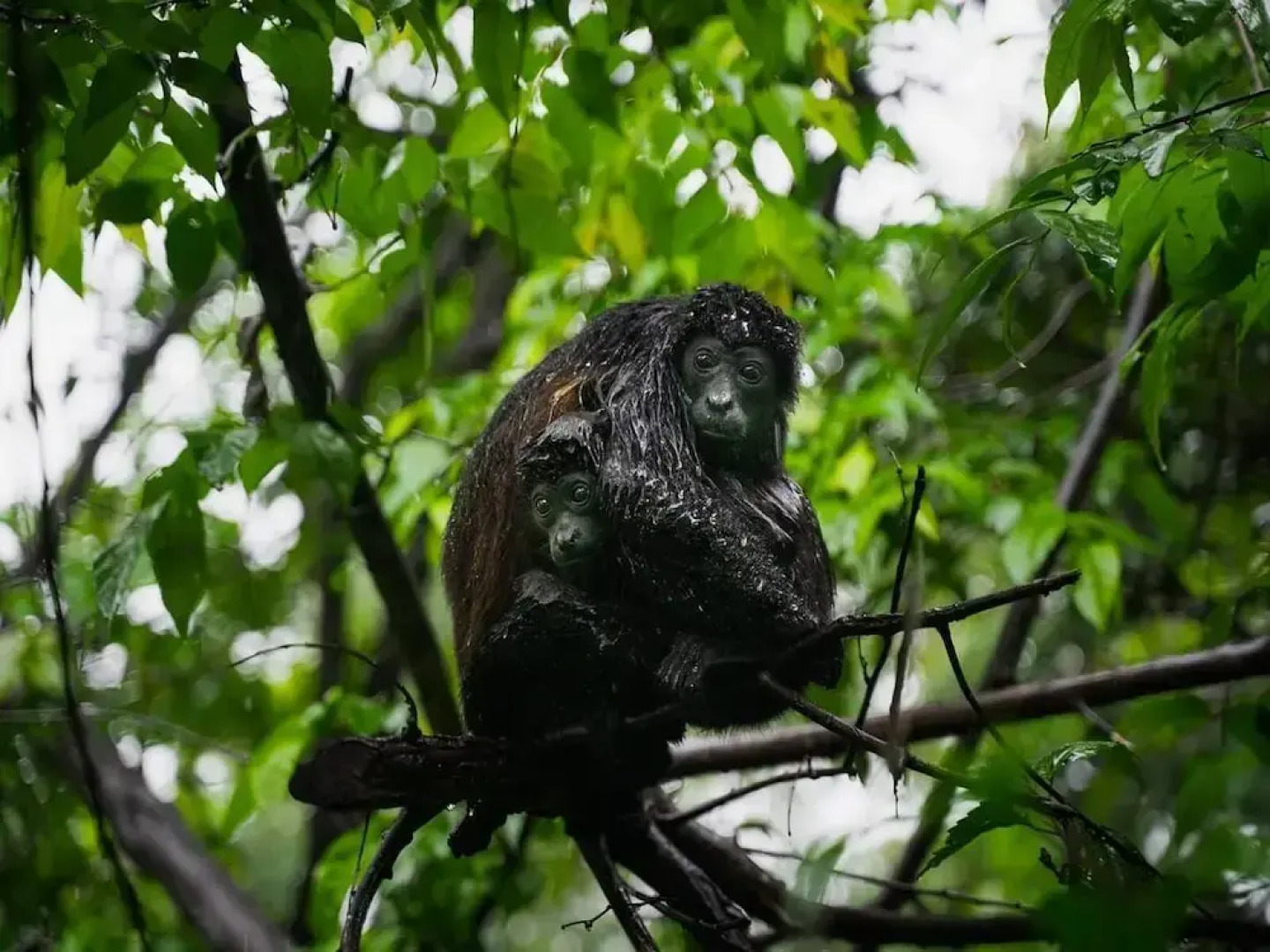 2-BD Ocean-View Condo on 3rd Floor