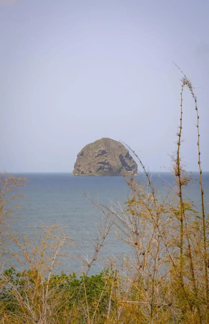 Marine Hotel Diamant