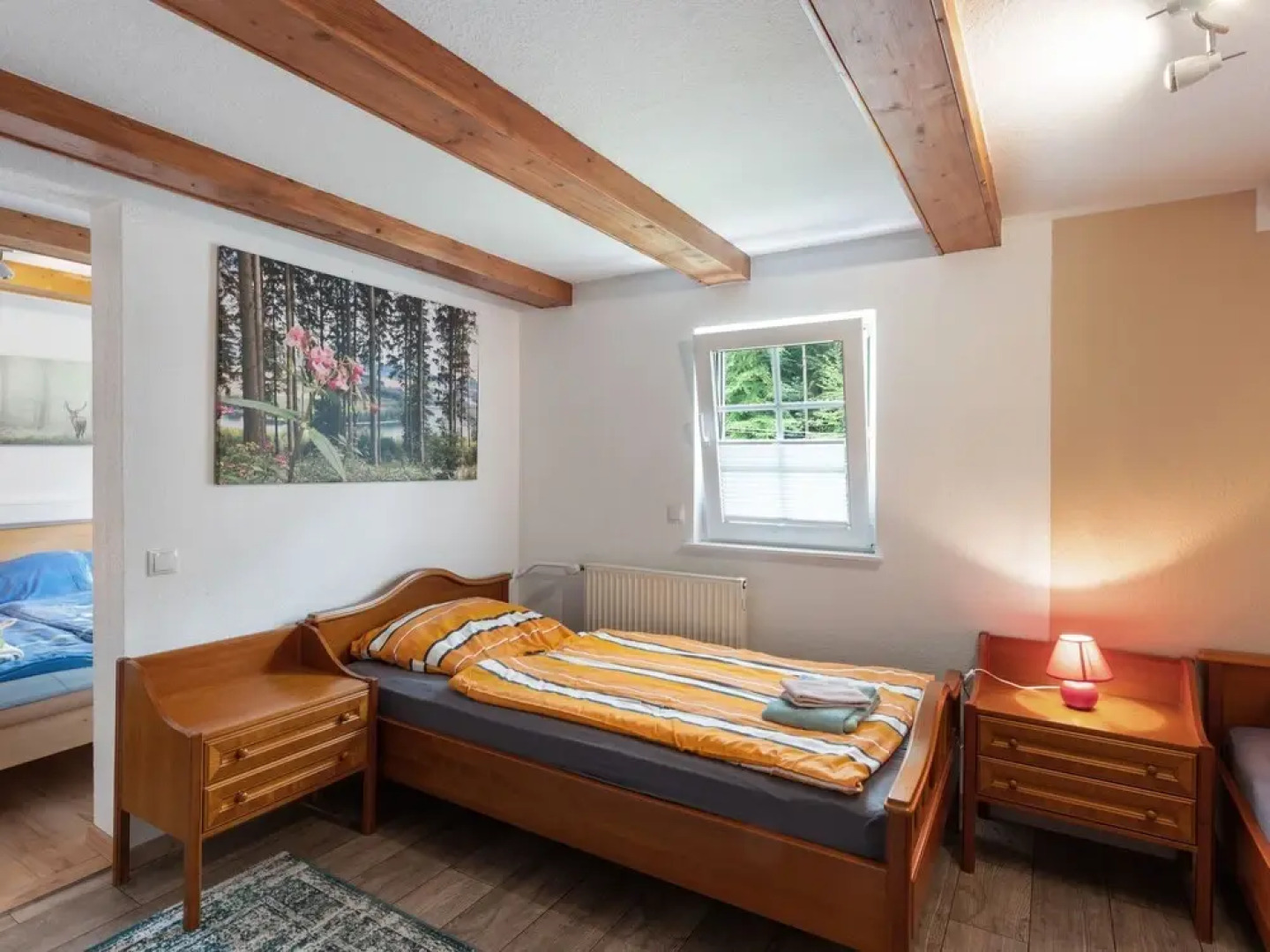 Detached Holiday Home With Open Fireplace and Large Garden With Terrace