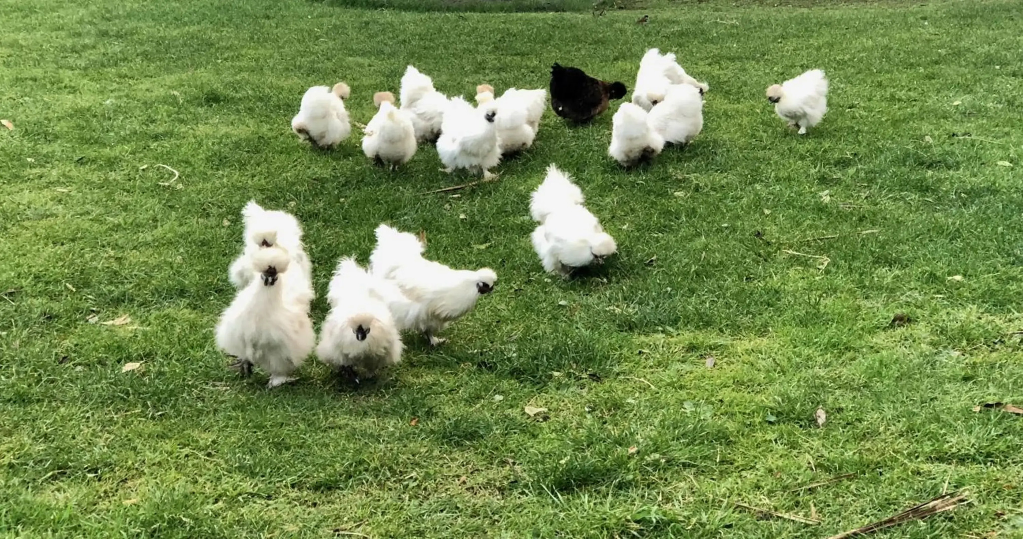 @Taradise-Opunake - eco-friendly Coastal hideaway