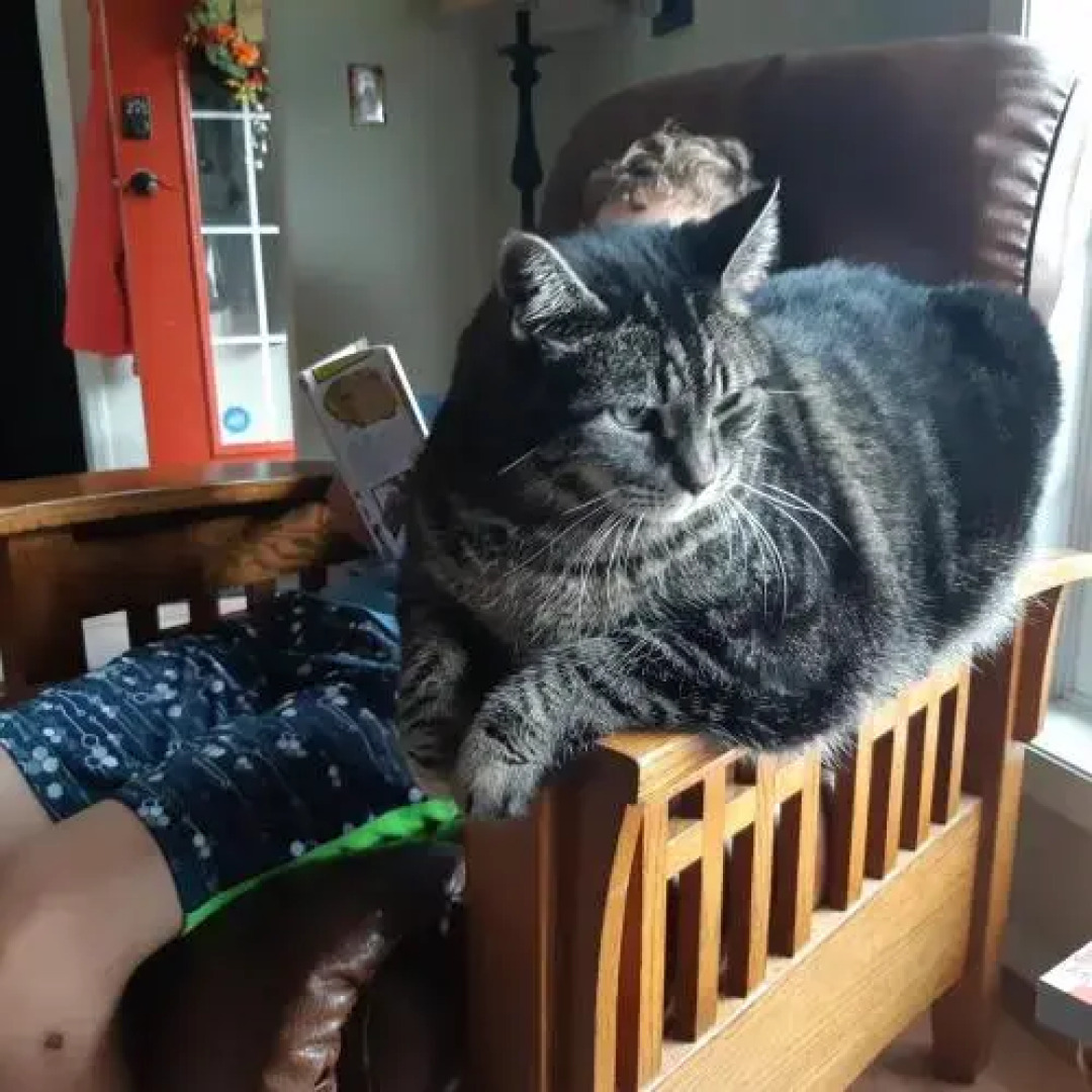 Sunshine and Wine Loft