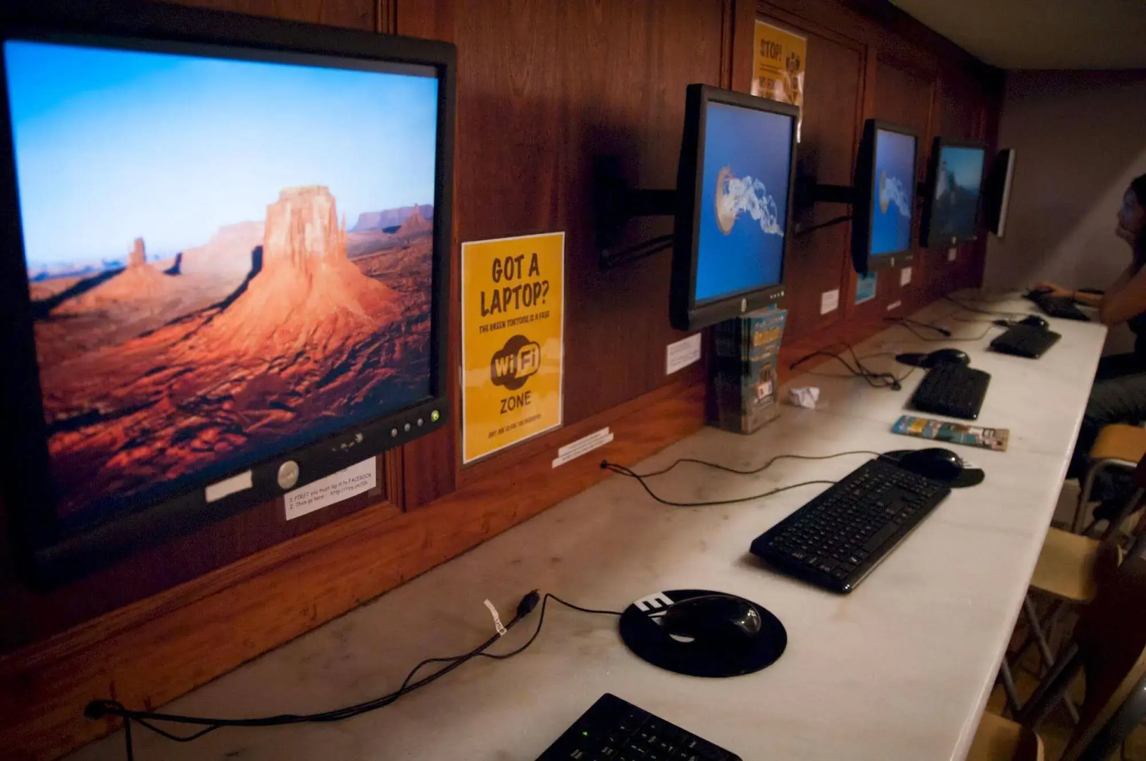 Green Tortoise Hostel