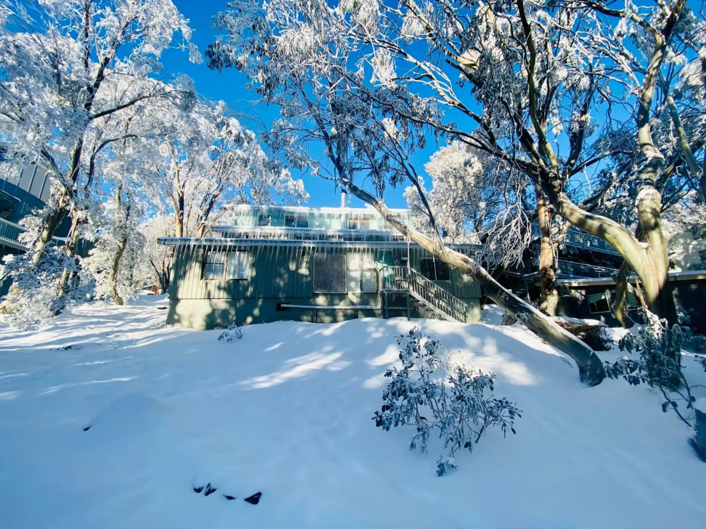 Feathertop Alpine Lodge