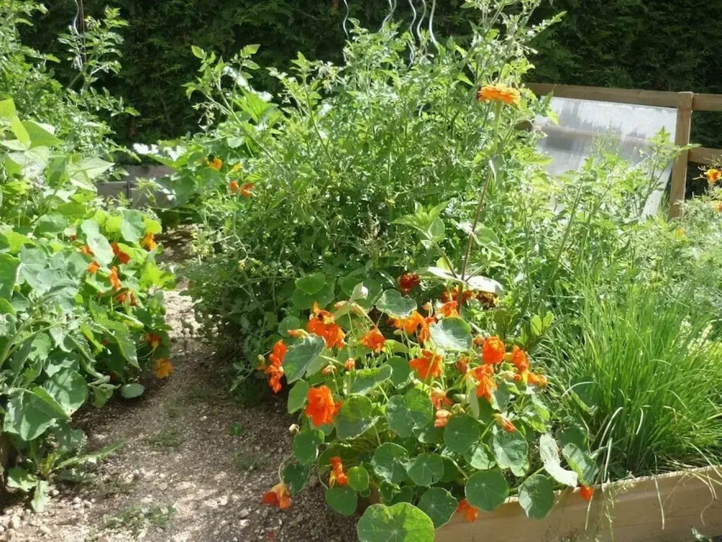 Chambre et Table dhôtes Magaadjukalo