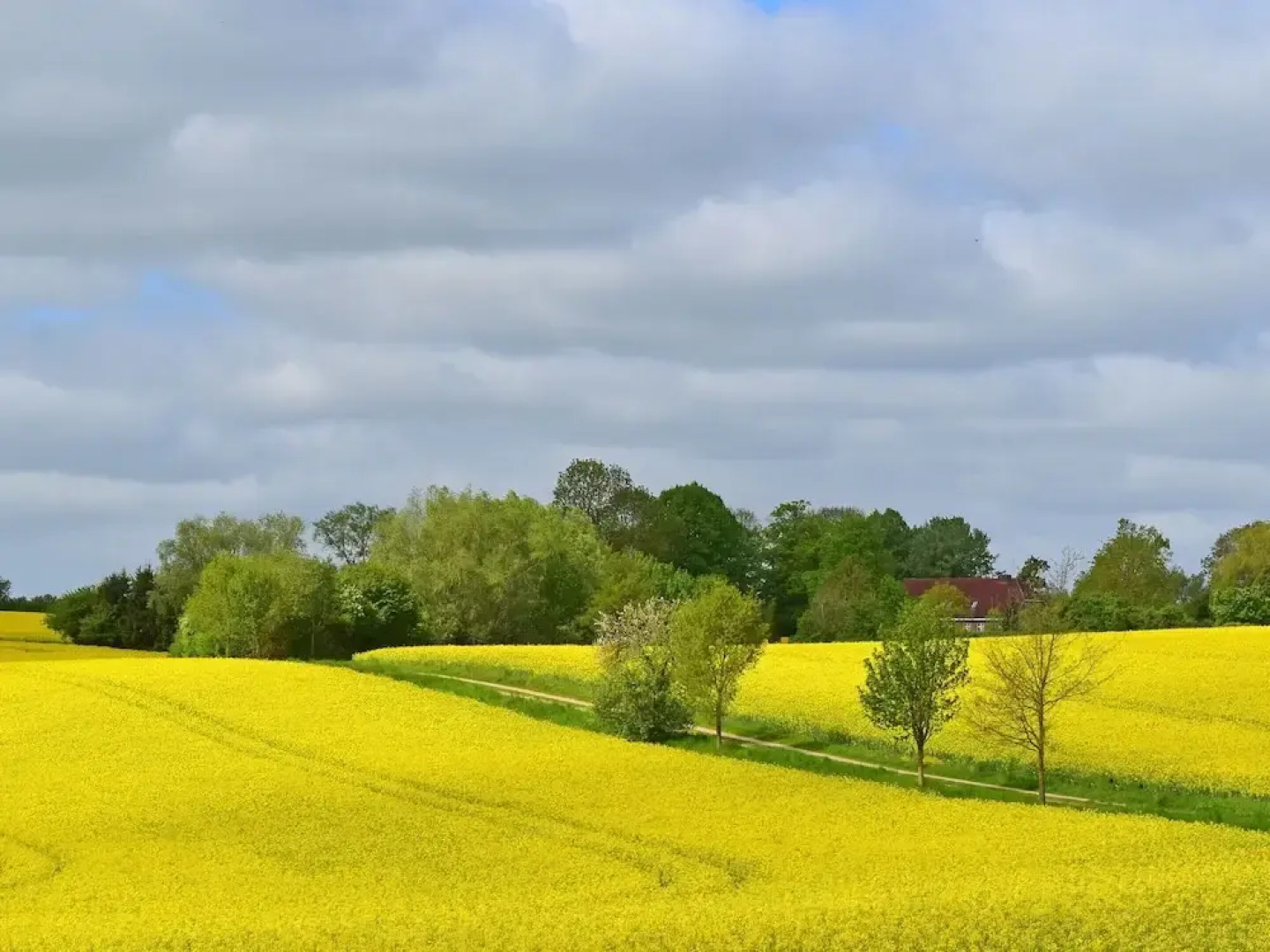 Ferienwohnung im Gutshaus Schulenbrook