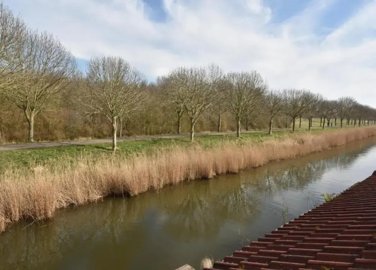 Bungalow in South Holland by the Water