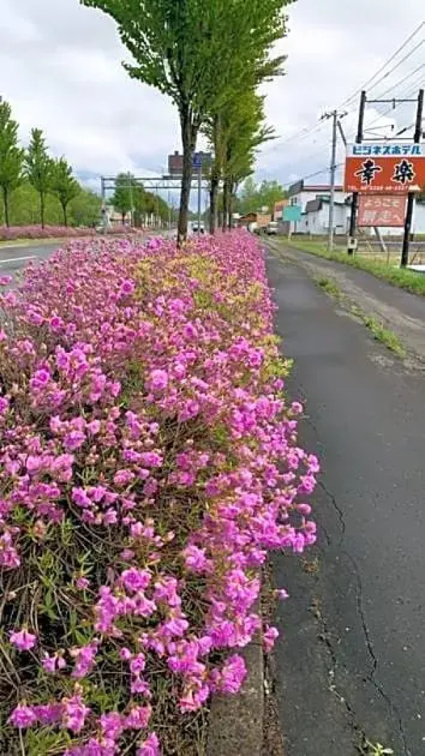 Abashiri - Hotel / Vacation STAY 16180