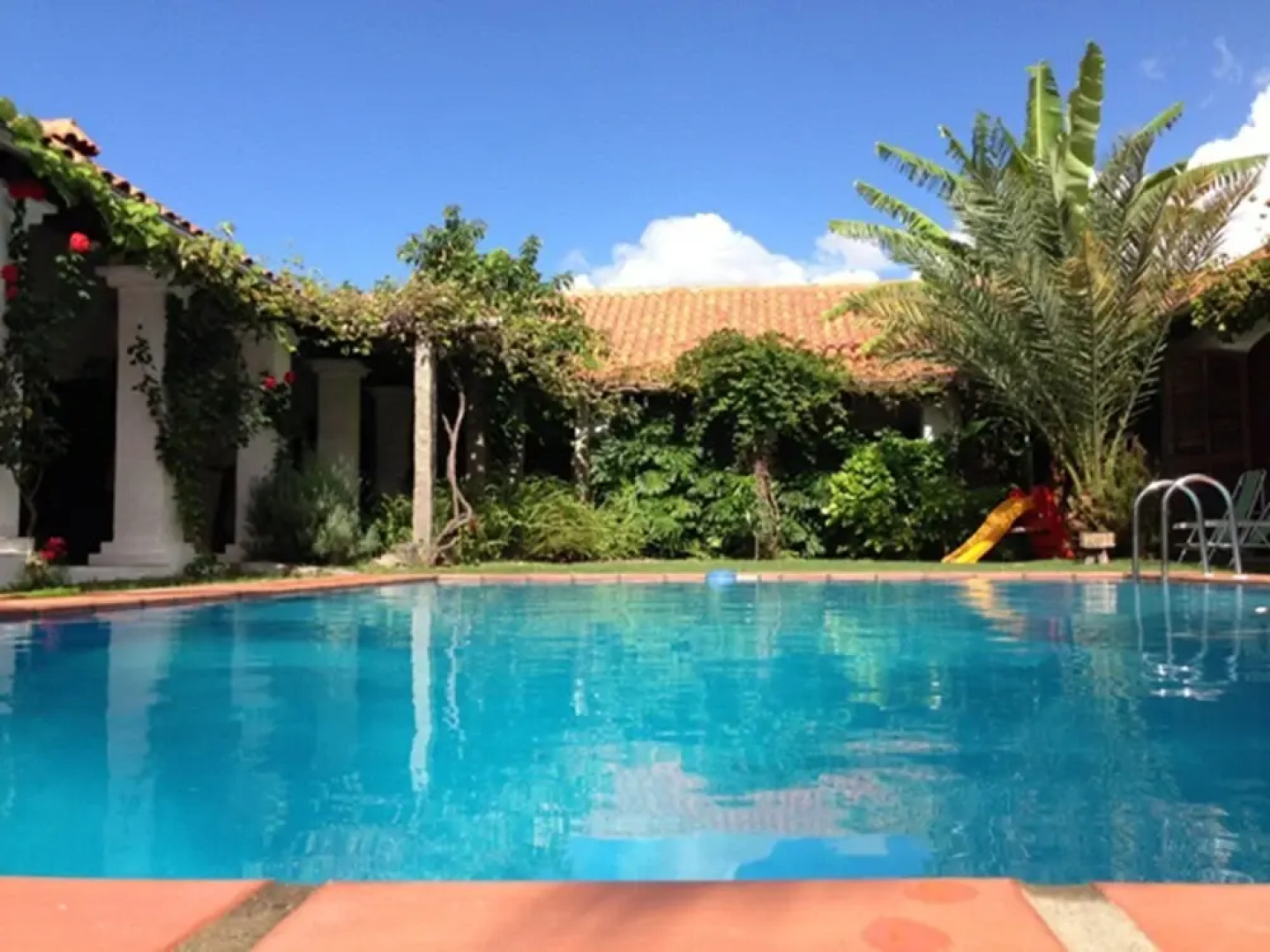 Pinos de la Quebrada