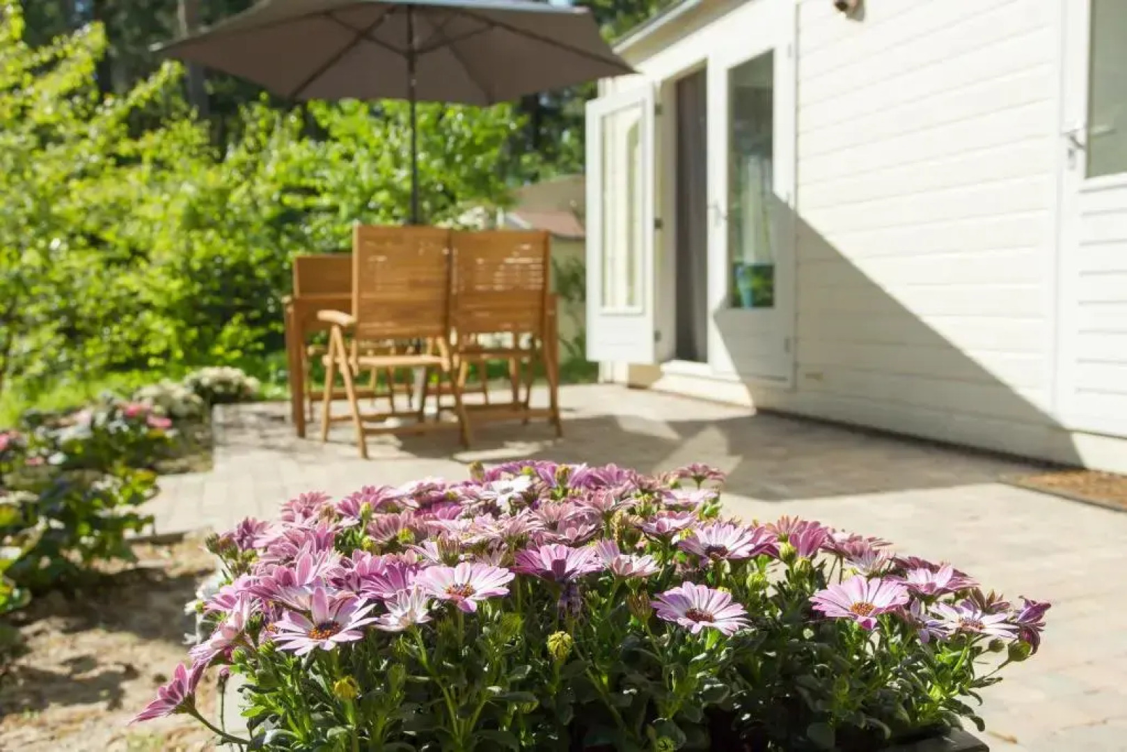 Tiny House Lijster Nunspeet Veluwe