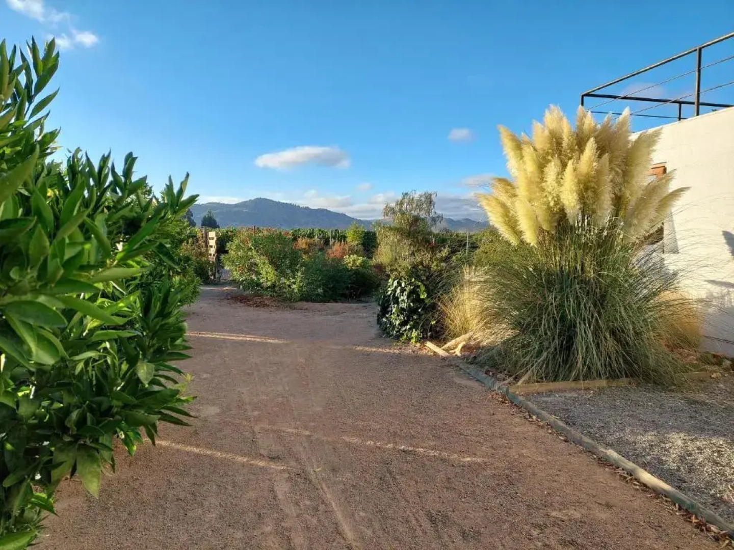 Callihue de Colchagua Lodge