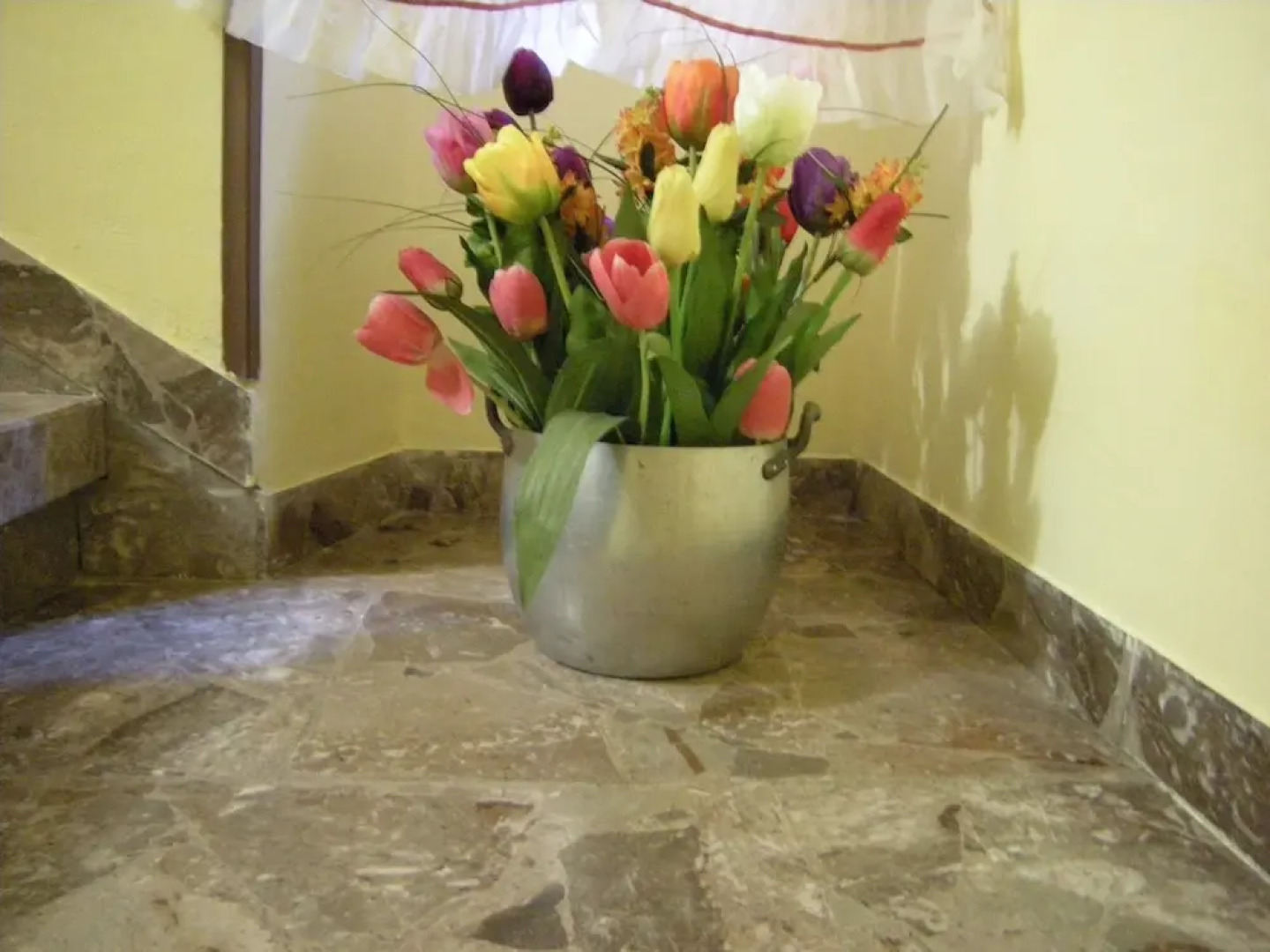 Le Vecchie Mura B & B