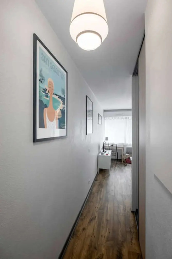 Bayonne et Anglet à pied