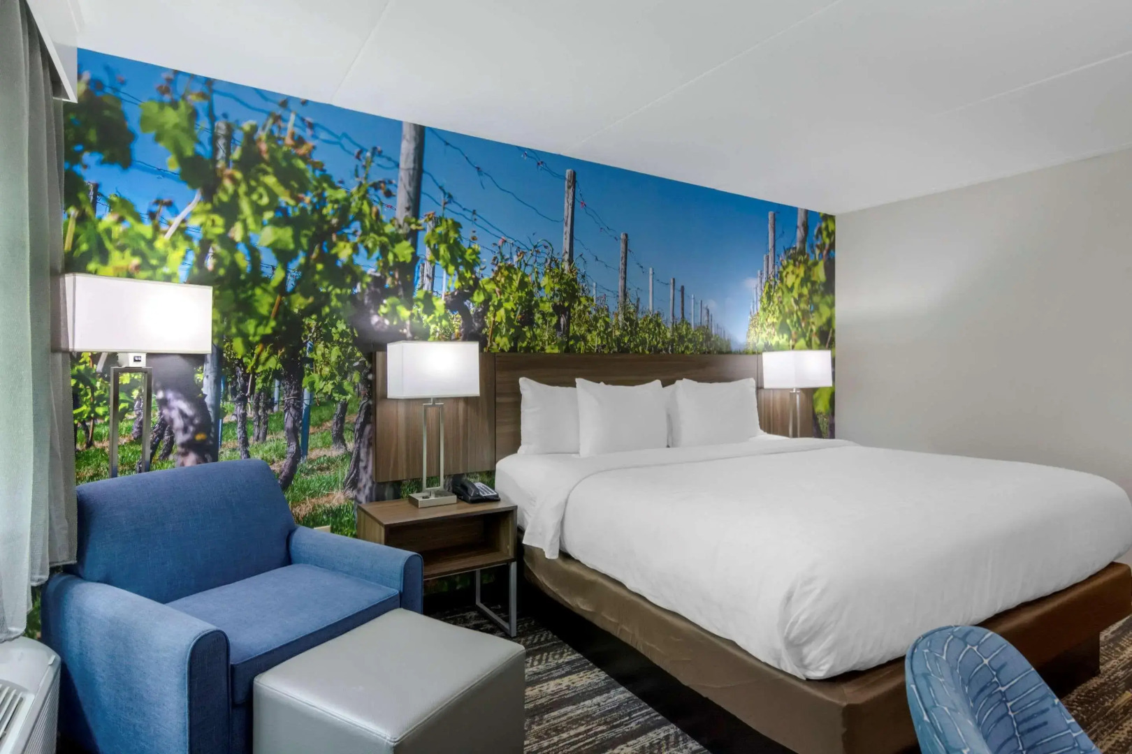 Comfort Inn University