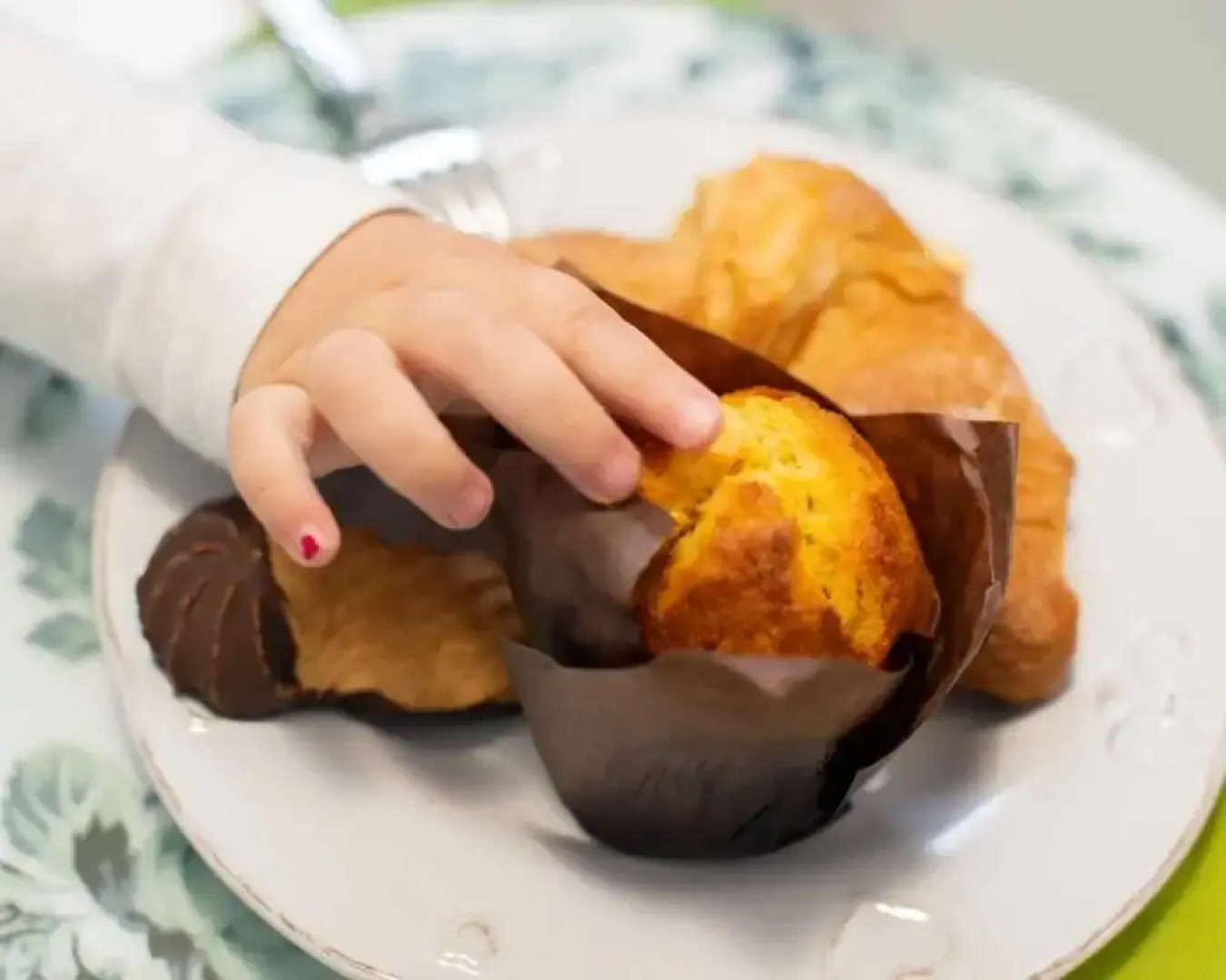 Il Tulipano Verde B&B