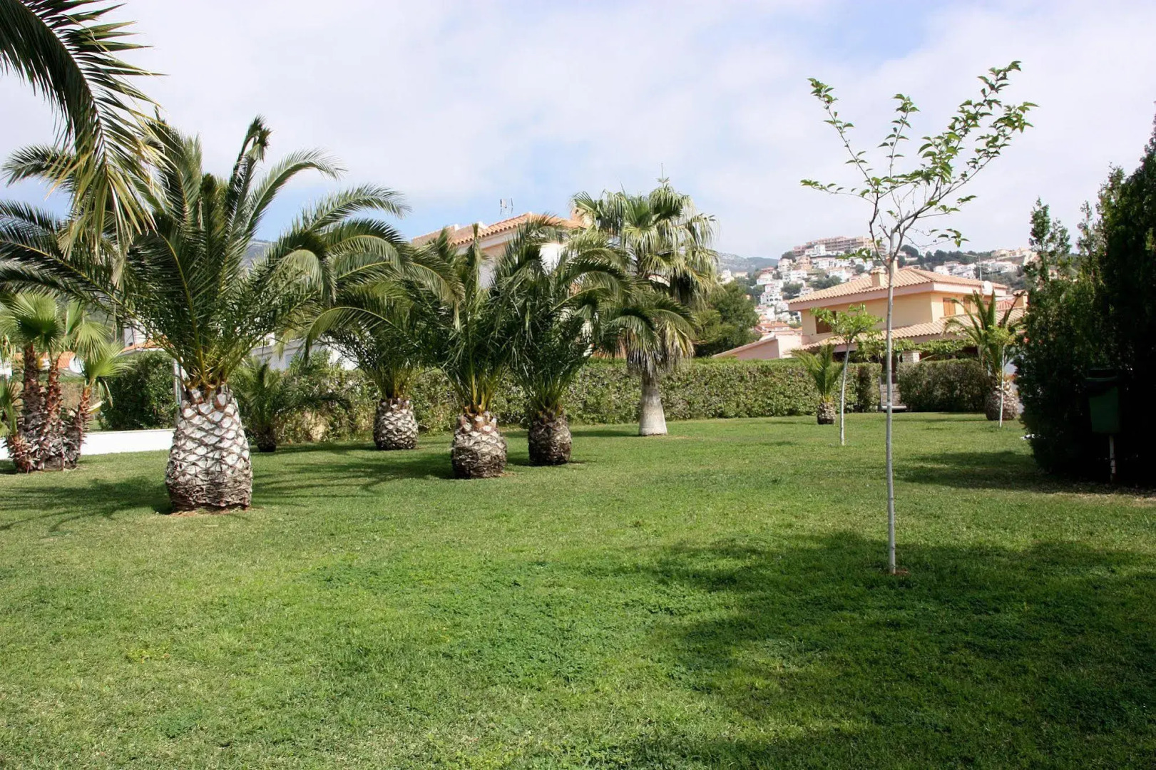 Apartamentos Hibiscus 3000