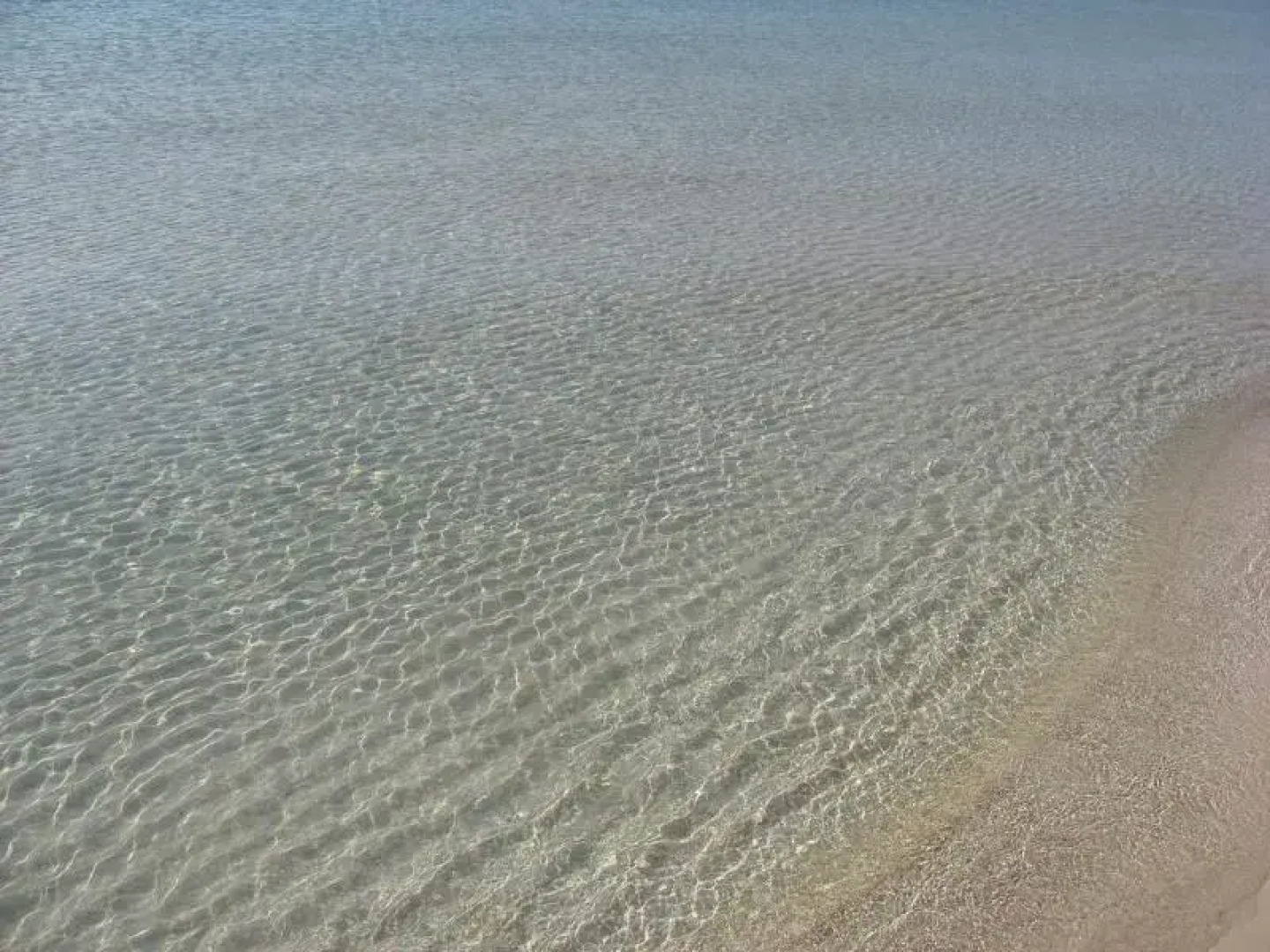 Scialabà Residence - Torre Pali