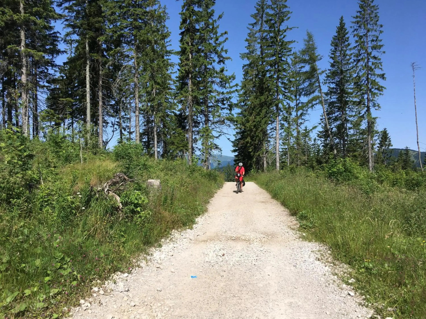 Apartmánový dom Spiežovec - Ap. 4