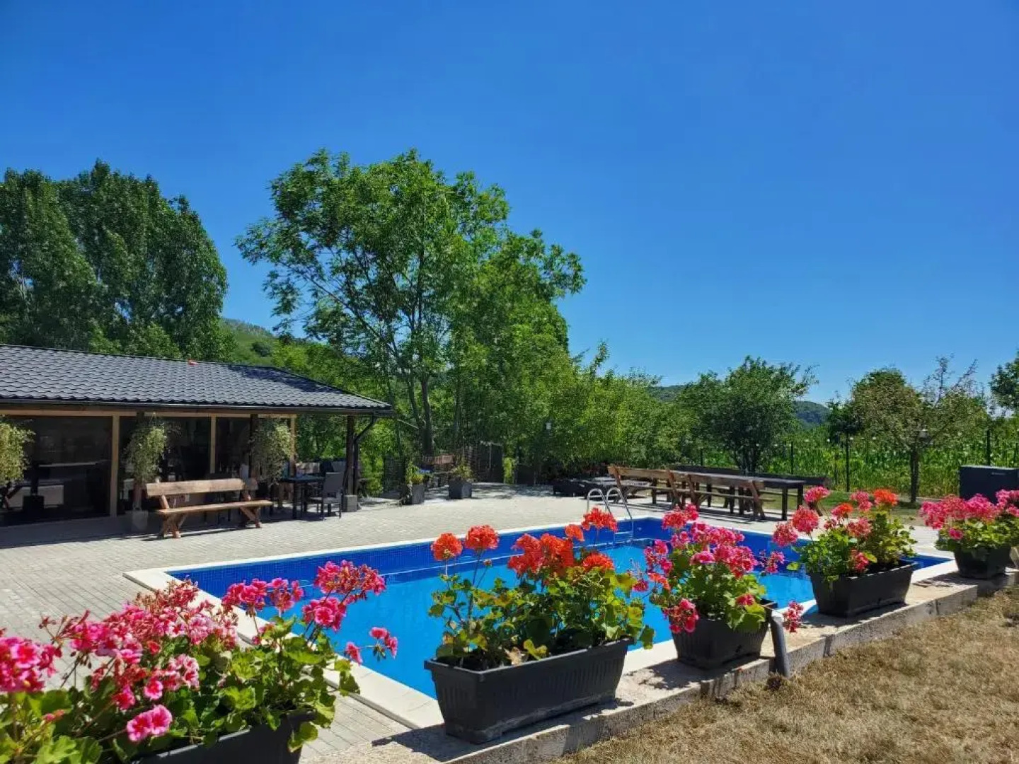 Pensiunea Casa Dacilor