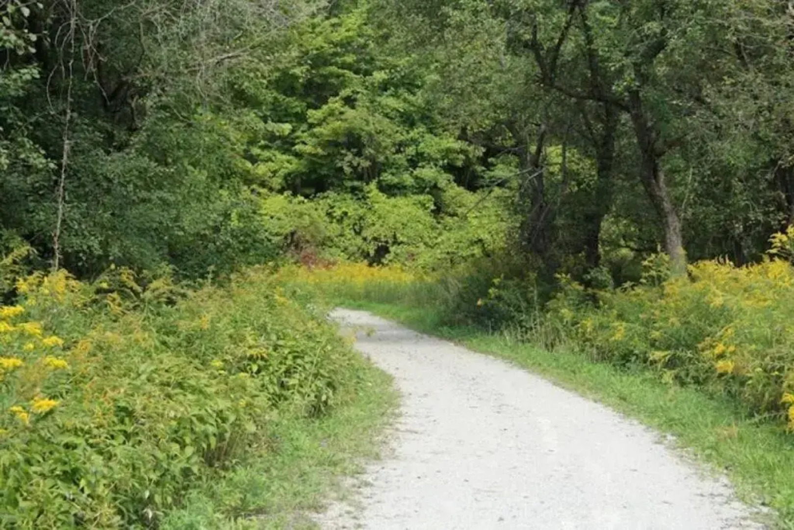 Adorable Private Suite in Ajax, unique 2 story
