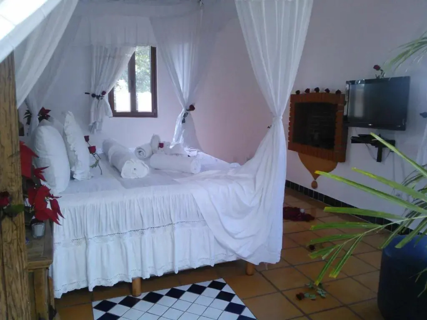 Posada Los Alcatraces