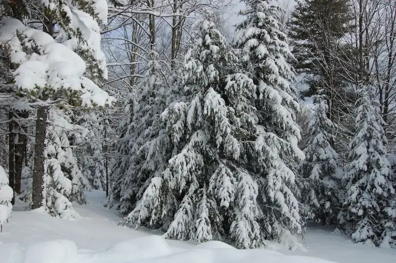 Sweet Life Brought to you by GetAway Vacations