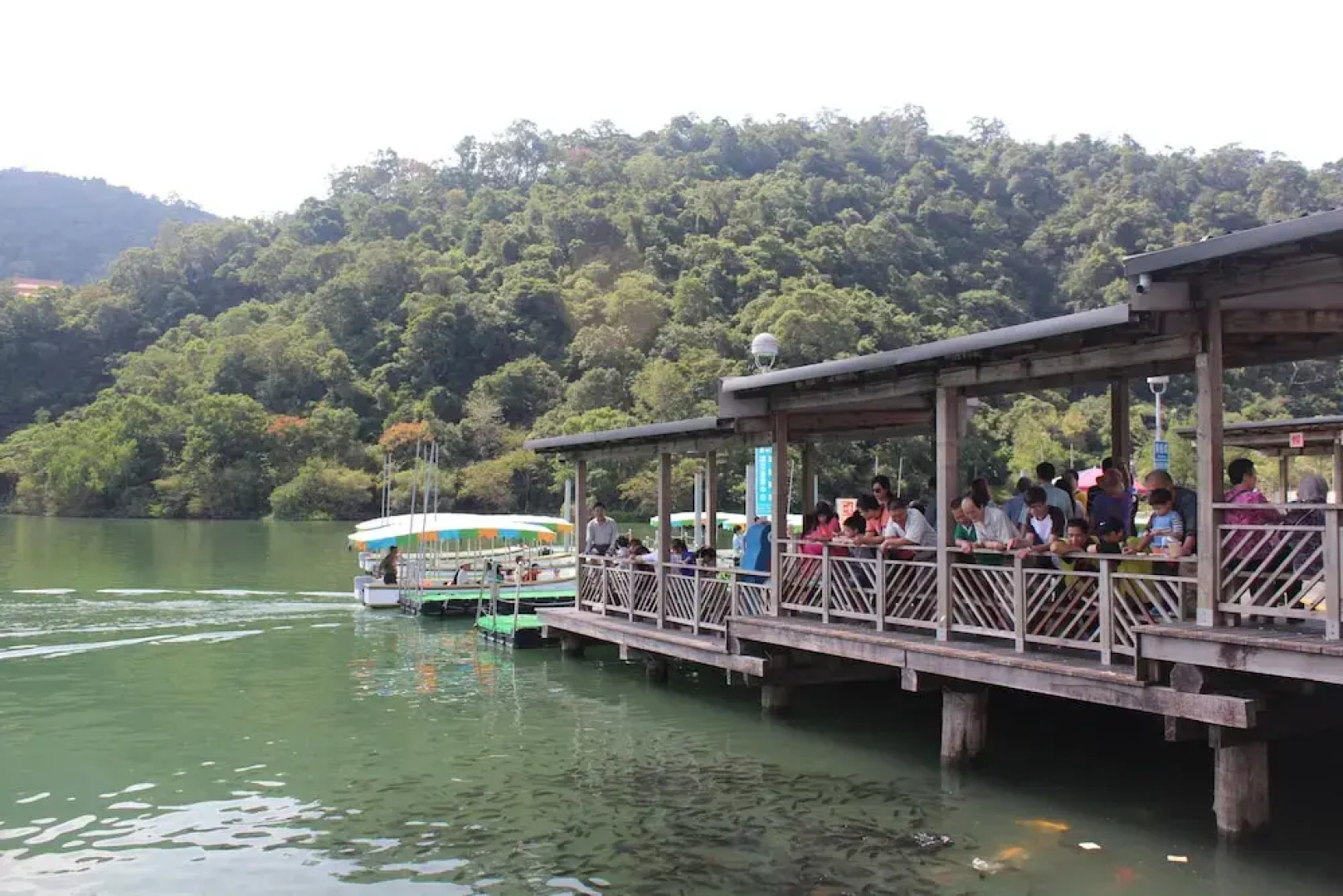 Barefoot And Breakfast