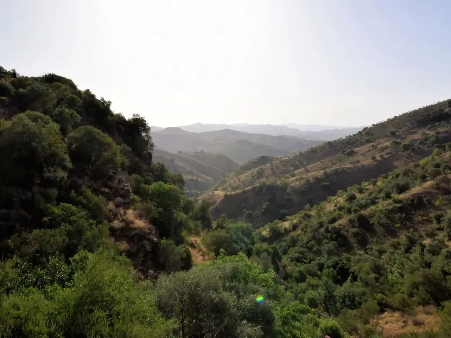 Beautiful Holiday Home in Almogia With Swimming Pool