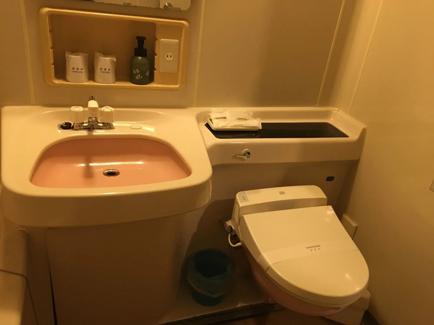 Ibusuki Seaside Hotel