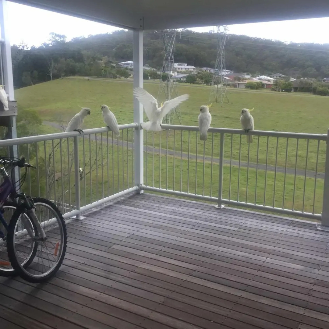 24 Carats on the Gold Coast