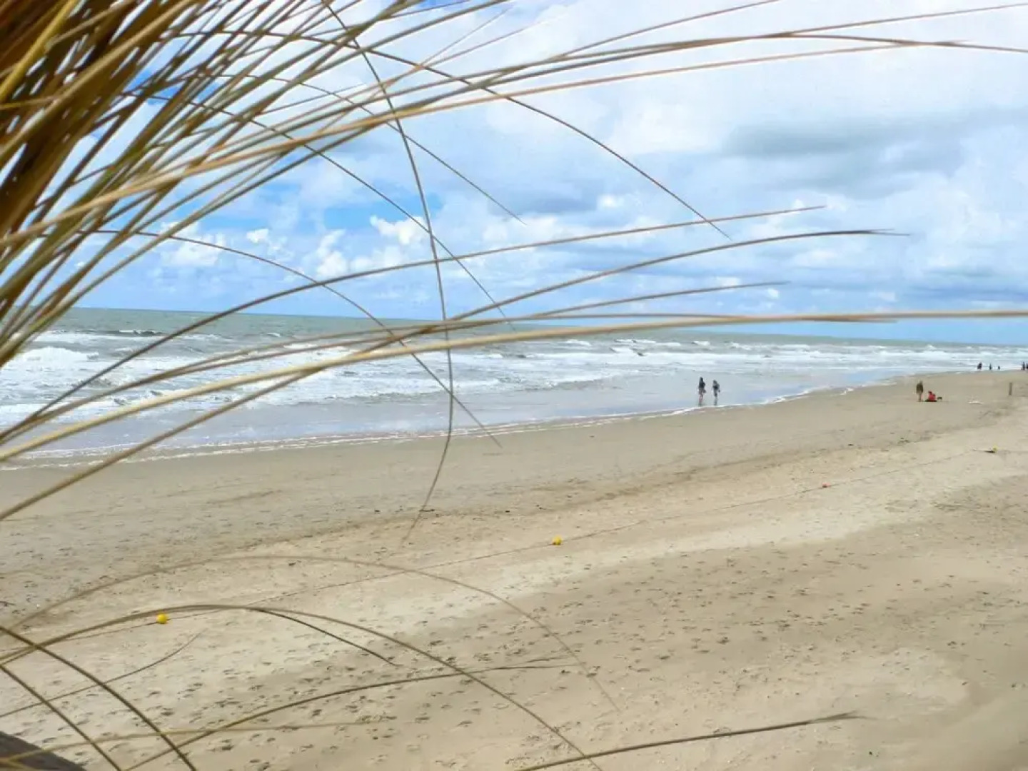 Quietly located apartment in a rural area