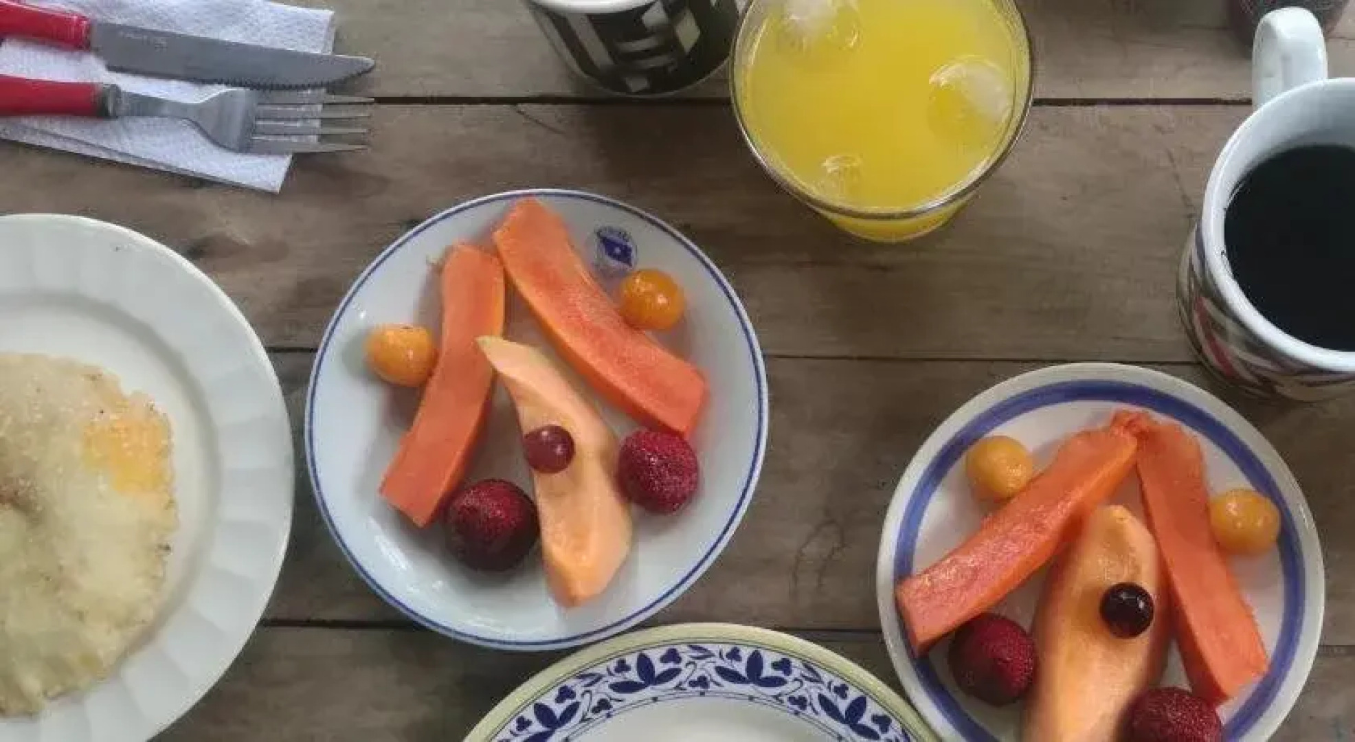 Jardin Etnobotanico Villa Ludovica