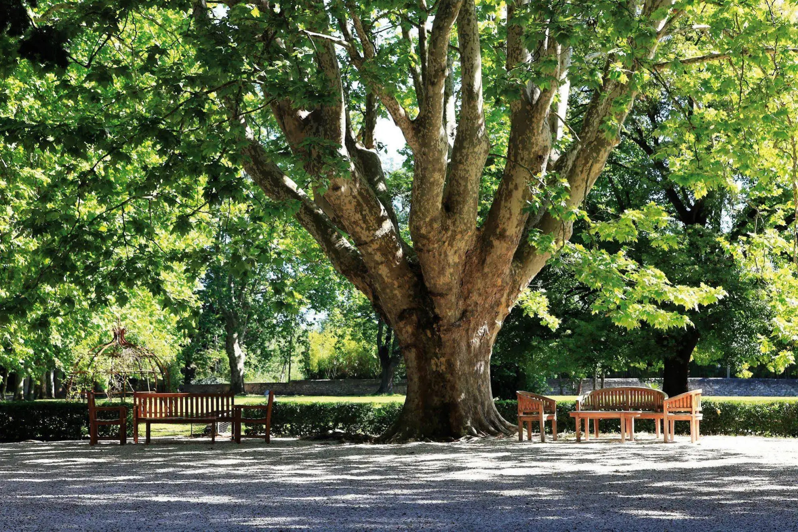 Hotel Château Des Alpilles