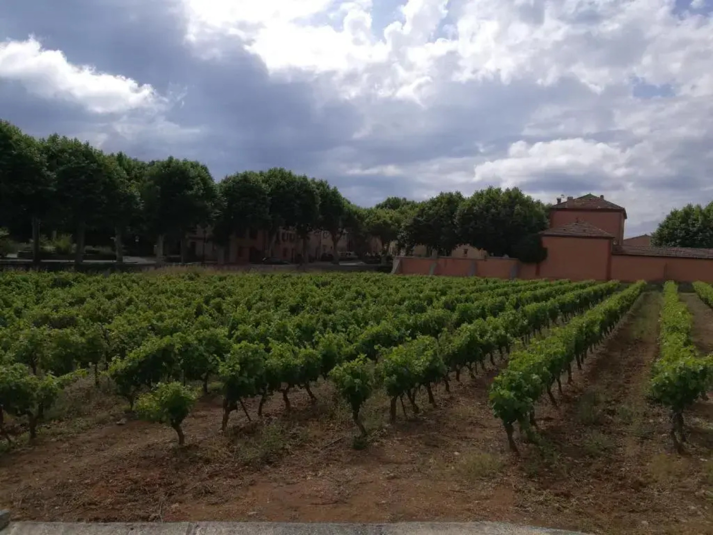 Le Clos des Médiévales