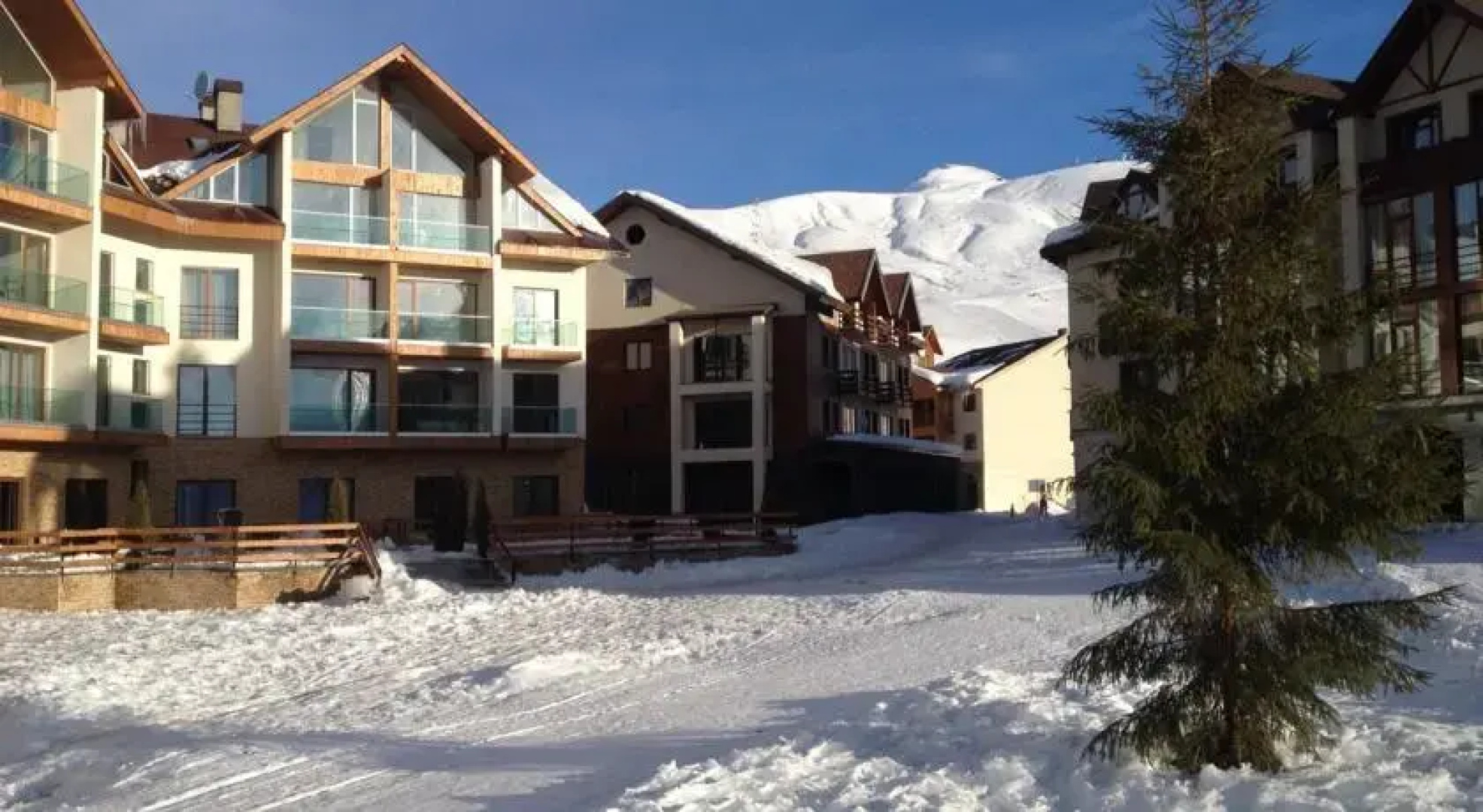 Studiogudauri