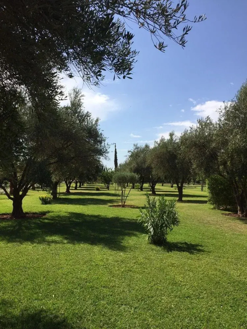 Villa Koutoubia Your Luxurious Oasis in Marrakech