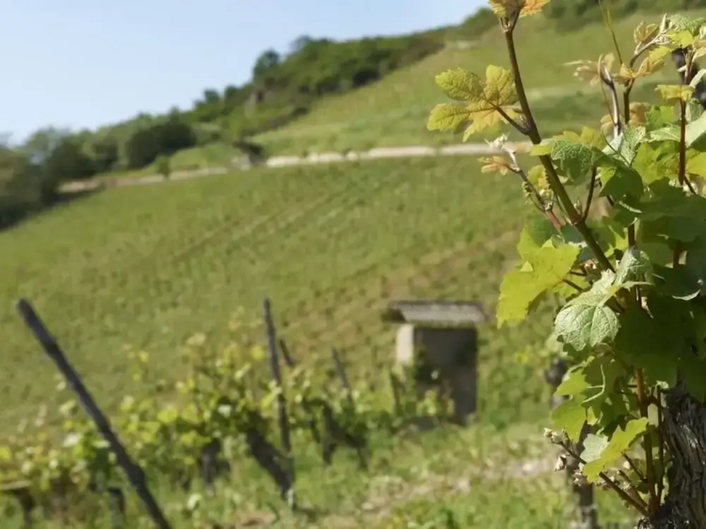 Holiday Apartment Schlossberg