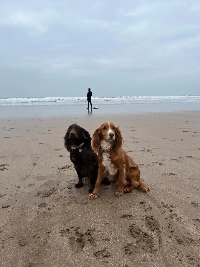 2 Rockham - Luxury Apartment at Byron Woolacombe, only 4 minute walk to Woolacombe Beach!