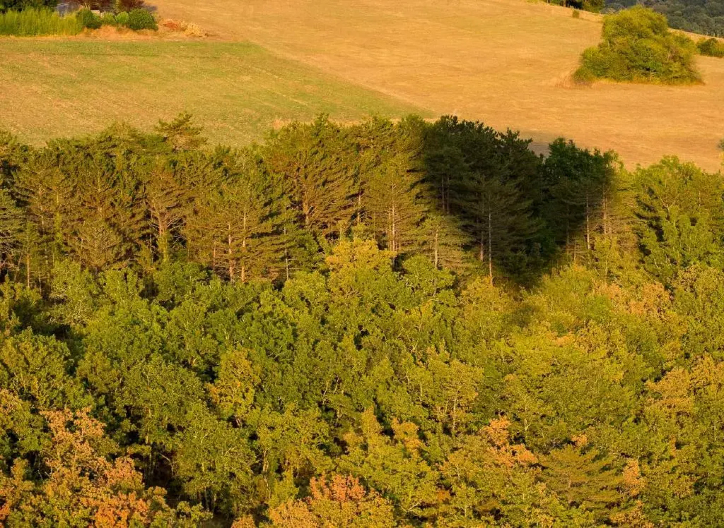 Gîte Grottes du Périgord